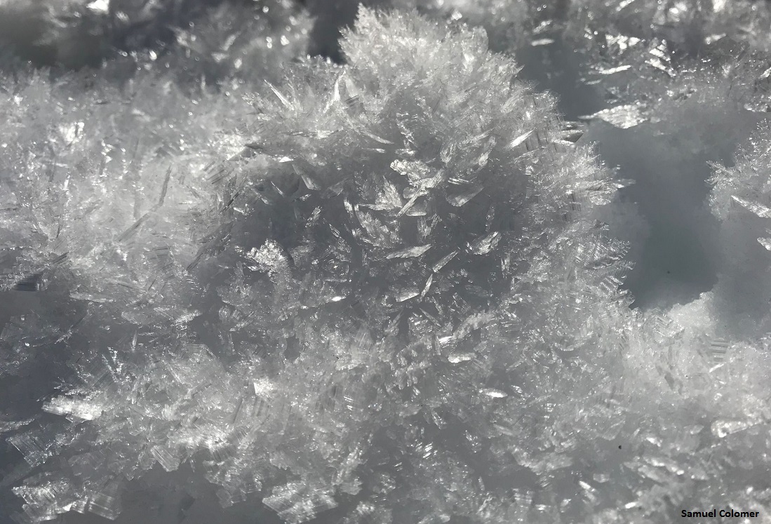 Imatge de gebre sobre la superfície de la neu.