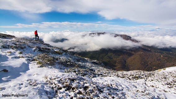 Observant el paisatge des del capdamunt innivat del Massís del Montseny. Foto: Jesús Pugmartí