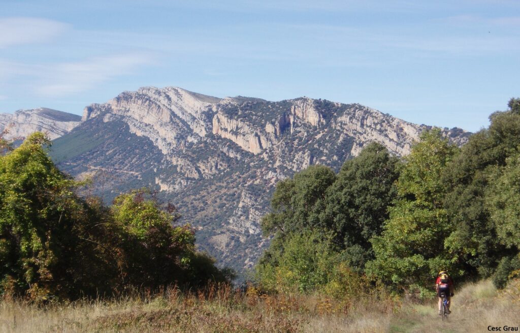 Entre boscos d’alzines i roures, un ciclista albira al seu davant la majestuositat agresta i vertical del Montsec.