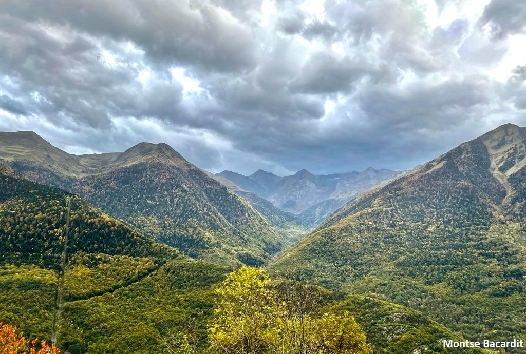 Paisatge de tardor a la Val d'Aran. Montse Bacardit